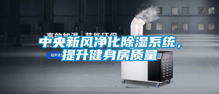 中央新風凈化除濕系統，提升健身房質量