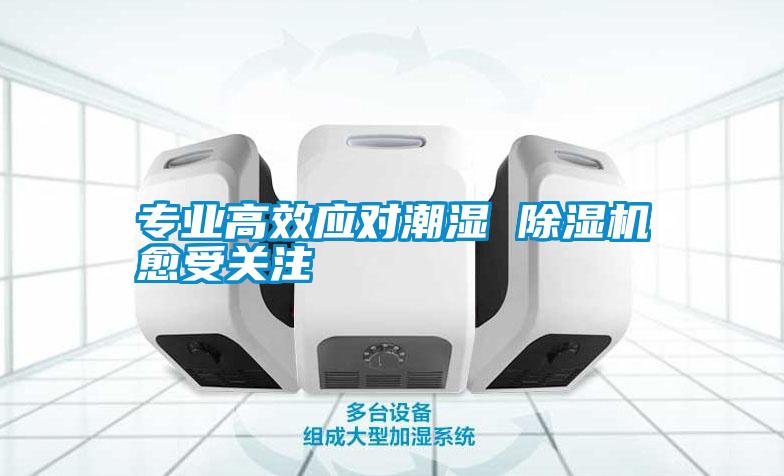 專業(yè)高效應(yīng)對潮濕 除濕機愈受關(guān)注