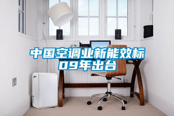 中國空調業新能效標09年出臺