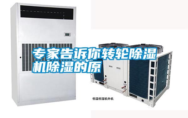 專家告訴你轉(zhuǎn)輪除濕機除濕的原