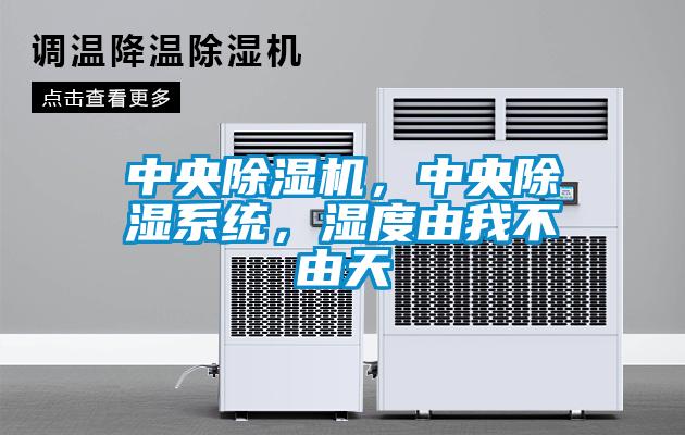 中央除濕機，中央除濕系統，濕度由我不由天