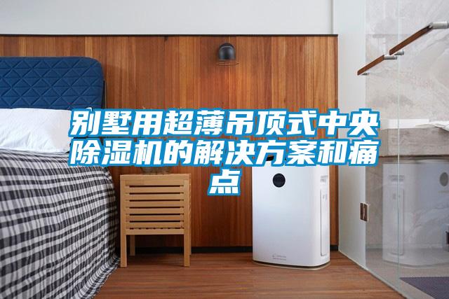 別墅用超薄吊頂式中央除濕機的解決方案和痛點