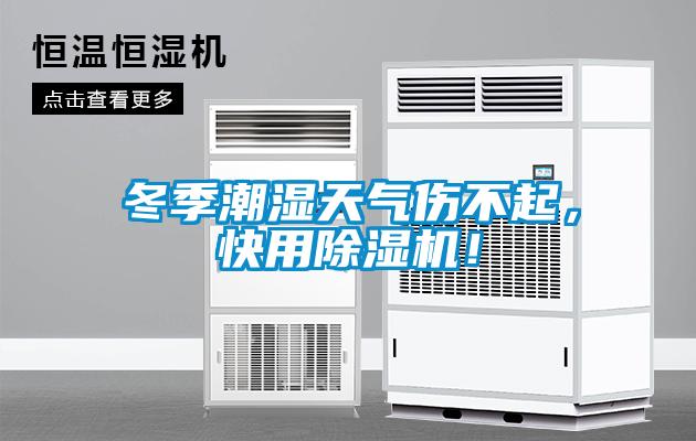 冬季潮濕天氣傷不起，快用除濕機！