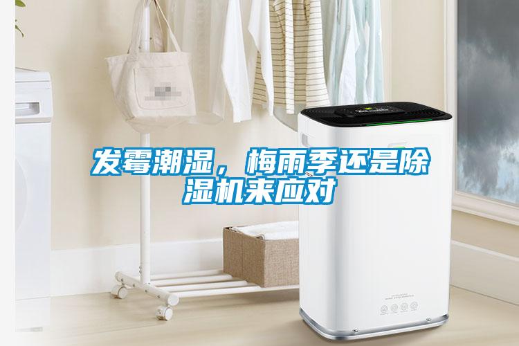 發霉潮濕，梅雨季還是除濕機來應對