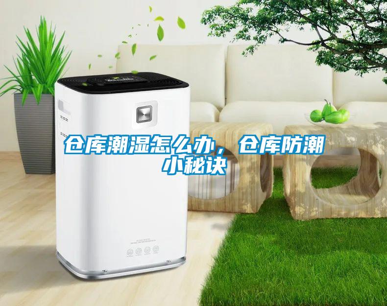 倉庫潮濕怎么辦，倉庫防潮小秘訣