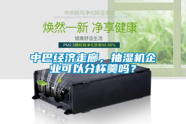 中巴經(jīng)濟(jì)走廊，抽濕機(jī)企業(yè)可以分杯羹嗎？