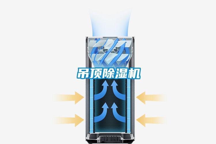 吊頂除濕機(jī)