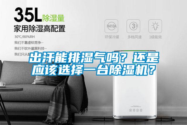 出汗能排濕氣嗎？還是應該選擇一臺除濕機？