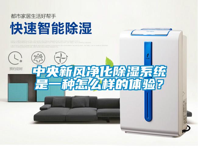 中央新風(fēng)凈化除濕系統(tǒng)是一種怎么樣的體驗(yàn)？