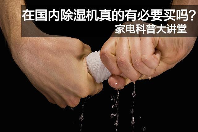 哪個牌子的轉輪除濕機好用？