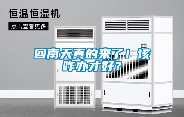 回南天真的來了！該咋辦才好？