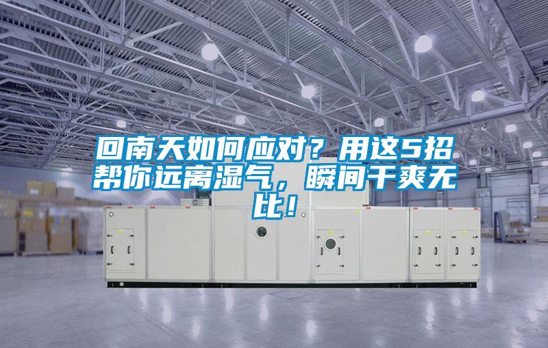 回南天如何應對？用這5招幫你遠離濕氣，瞬間干爽無比！