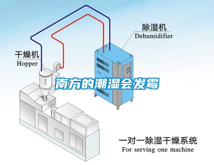 南方的潮濕會(huì)發(fā)霉