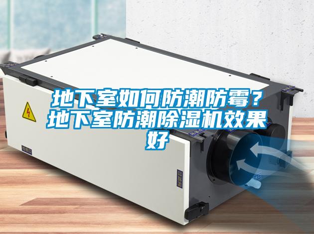 地下室如何防潮防霉？地下室防潮除濕機效果好