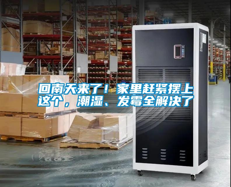 回南天來了！家里趕緊擺上這個，潮濕、發霉全解決了