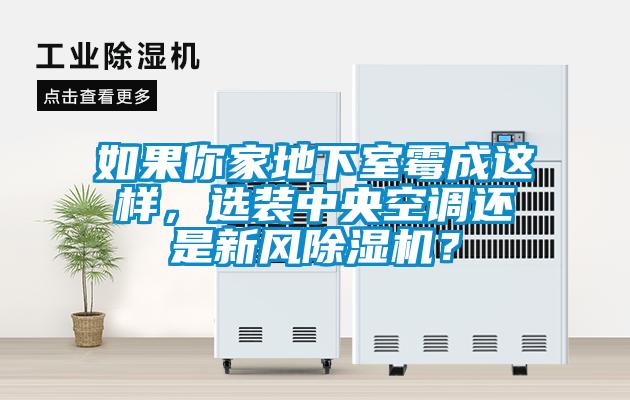 如果你家地下室霉成這樣，選裝中央空調還是新風除濕機？