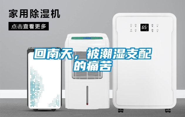 回南天，被潮濕支配的痛苦