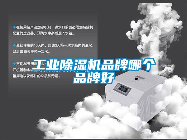 工業除濕機品牌哪個品牌好