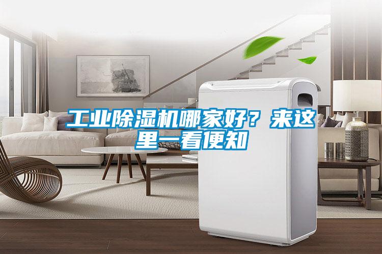 工業除濕機哪家好？來這里一看便知