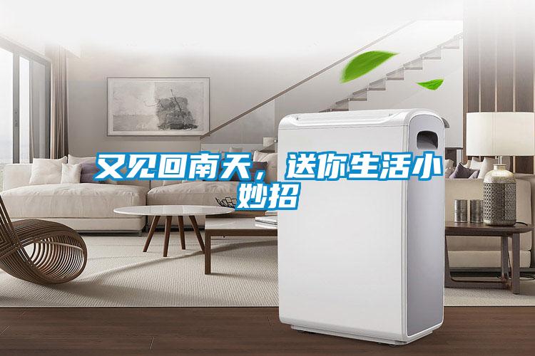 又見回南天，送你生活小妙招