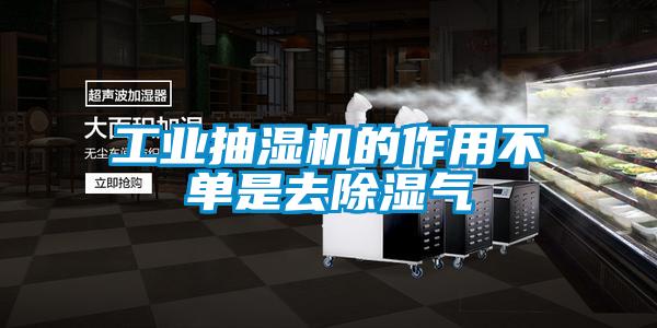 工業(yè)抽濕機的作用不單是去除濕氣