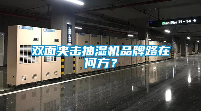 雙面夾擊抽濕機品牌路在何方？