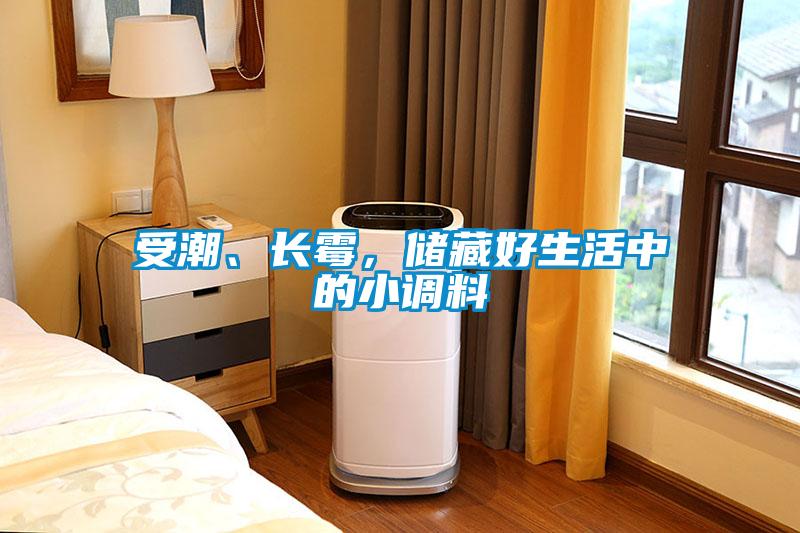 受潮、長霉，儲藏好生活中的小調料