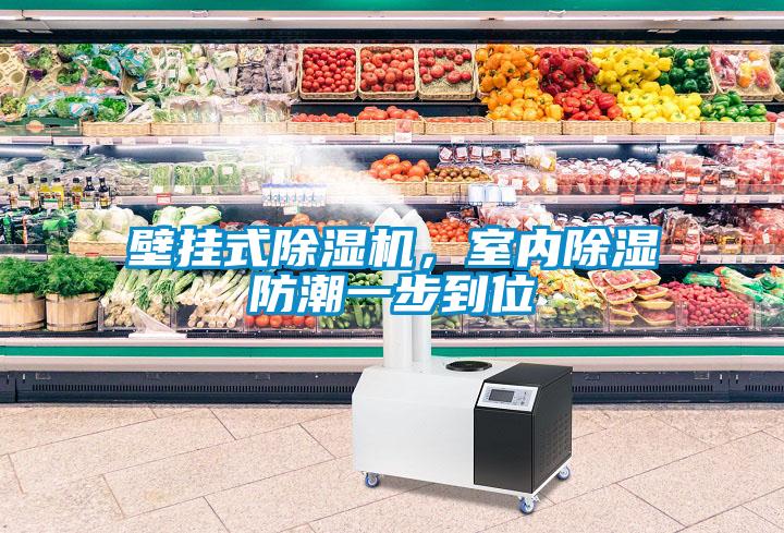 壁掛式除濕機，室內除濕防潮一步到位