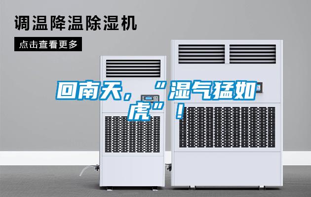 回南天，“濕氣猛如虎”！