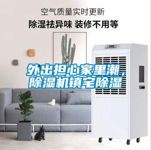 外出擔心家里潮，除濕機鎮(zhèn)宅除濕