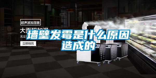 墻壁發霉是什么原因造成的
