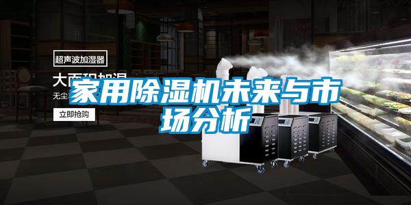 家用除濕機(jī)未來與市場(chǎng)分析