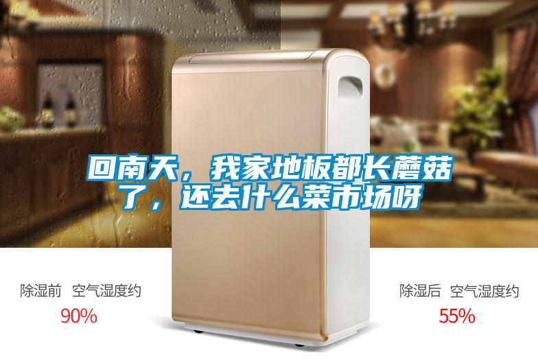回南天，我家地板都長蘑菇了，還去什么菜市場呀