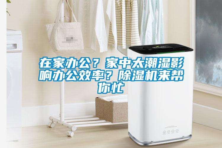 在家辦公？家中太潮濕影響辦公效率？除濕機(jī)來(lái)幫你忙