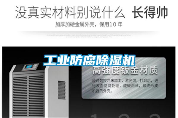 工業(yè)防腐除濕機