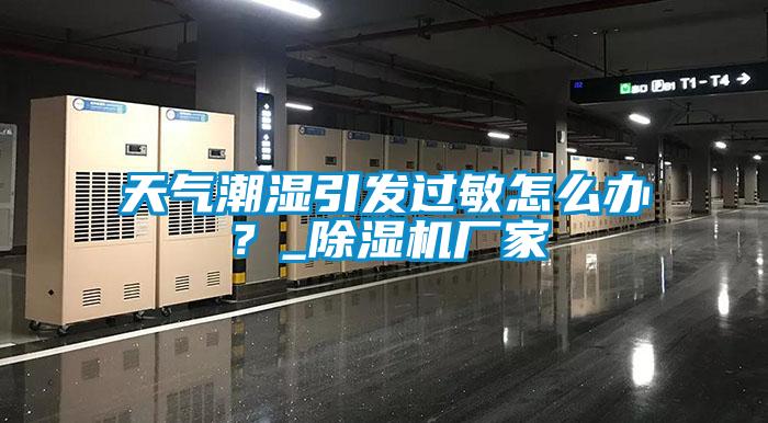 天氣潮濕引發(fā)過敏怎么辦？_除濕機廠家