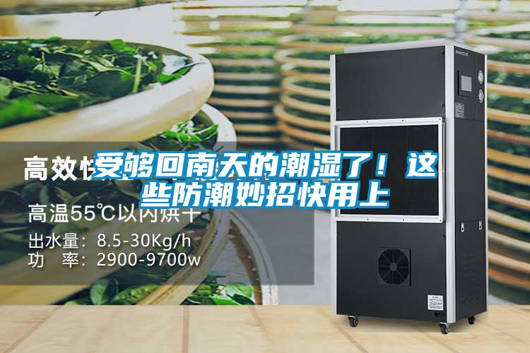 受夠回南天的潮濕了！這些防潮妙招快用上