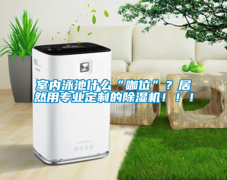 室內泳池什么“咖位”？居然用專業定制的除濕機！！！