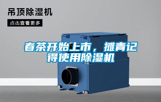 春茶開始上市，攤青記得使用除濕機