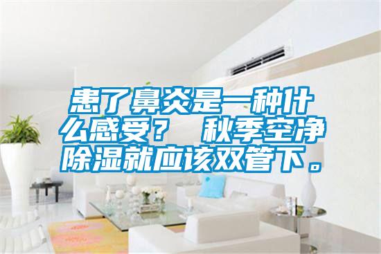患了鼻炎是一種什么感受？ 秋季空凈除濕就應該雙管下。