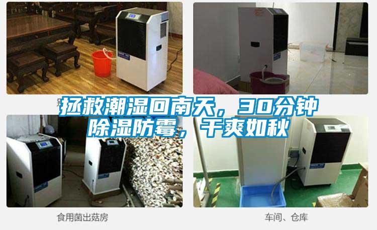 拯救潮濕回南天，30分鐘除濕防霉，干爽如秋