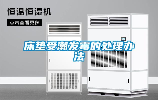 床墊受潮發霉的處理辦法