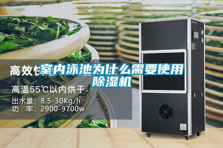 室內泳池為什么需要使用除濕機