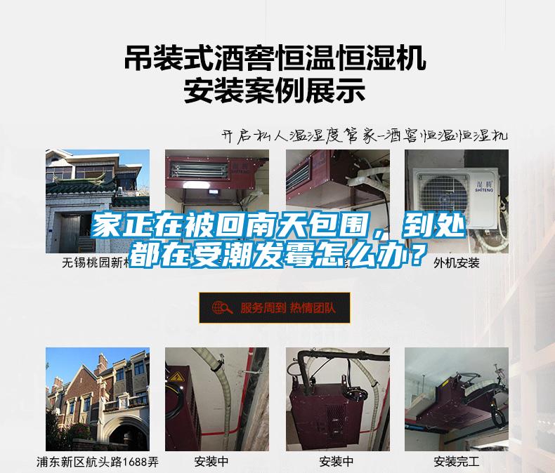 家正在被回南天包圍，到處都在受潮發霉怎么辦？