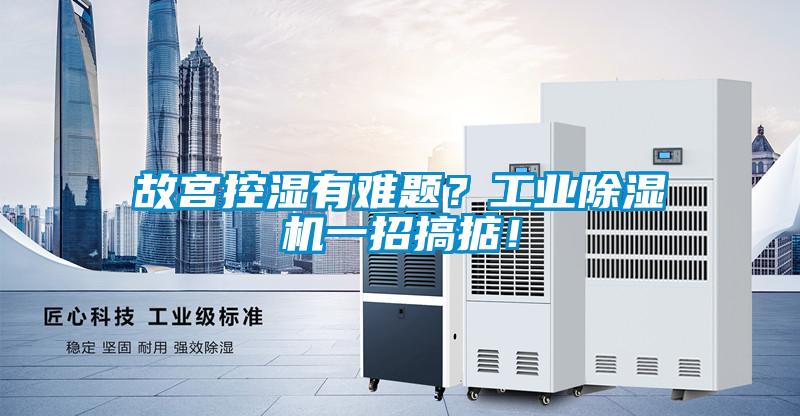 故宮控濕有難題？工業除濕機一招搞掂！