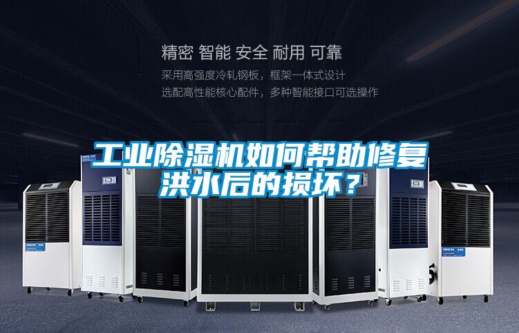 工業(yè)除濕機(jī)如何幫助修復(fù)洪水后的損壞？
