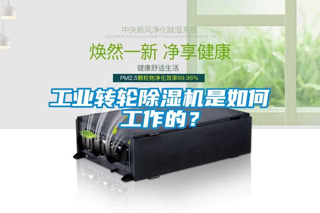 工業轉輪除濕機是如何工作的？