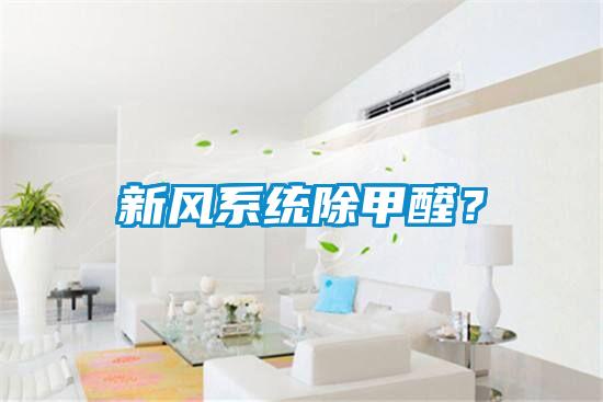 新風系統除甲醛？