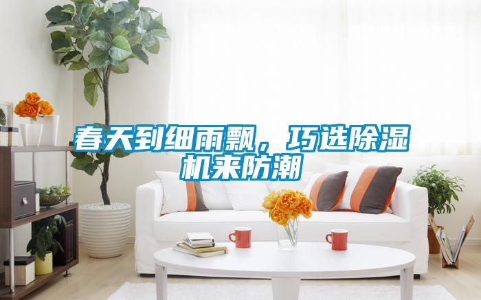 春天到細(xì)雨飄，巧選除濕機來防潮