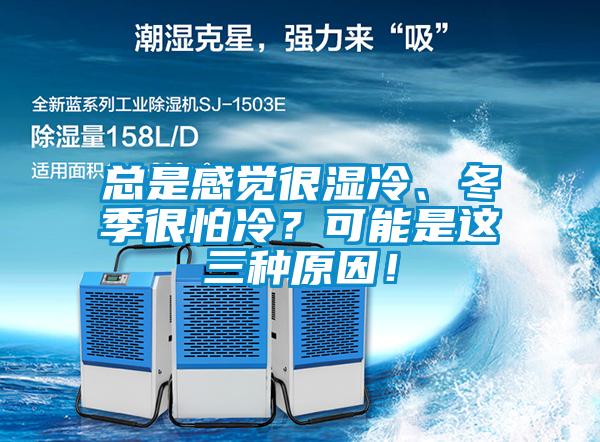 總是感覺很濕冷、冬季很怕冷？可能是這三種原因！